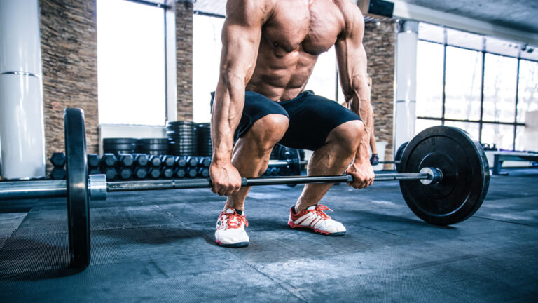 Science-Based Fitness: Build Muscle, Burn Fat & Stay Fit