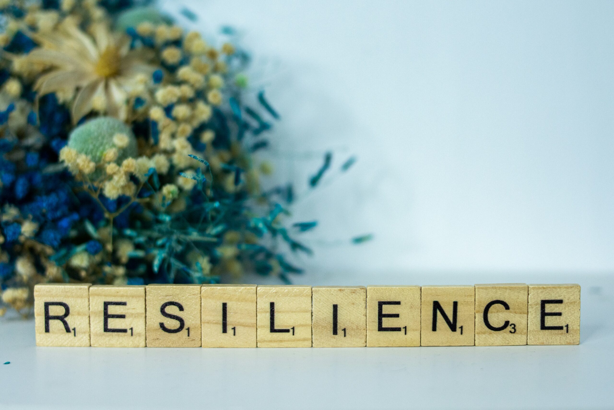 Stress Management: Images of Resilience